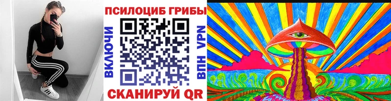 Галлюциногенные грибы мухоморы  Шацк 